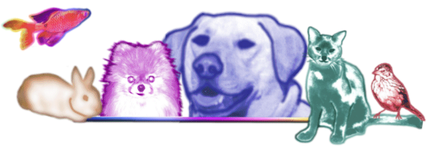 J. Mayes Pet Pal Services