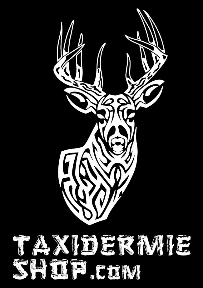 Wilderness Creations