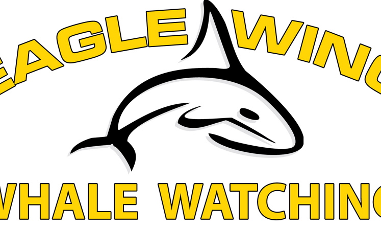 Eagle Wing Whale Watching 