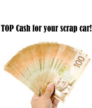 Dunnville Auto Wreck