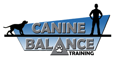 Canine Balance Training