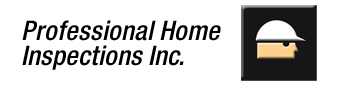 Professional Home Inspecti