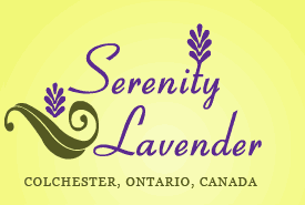 Serenity Lavender Farm Inc