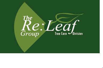The Re:Leaf Group  Tree Ca