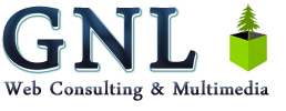 GNL Web Consultants & Mult