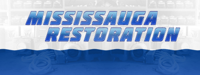 Restoration 1 Ottawa