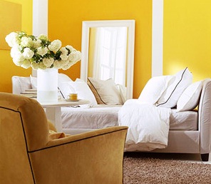 Affordable Painters Brampt