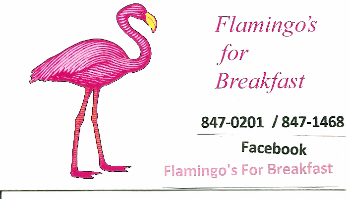 Flamingos For Breakfast