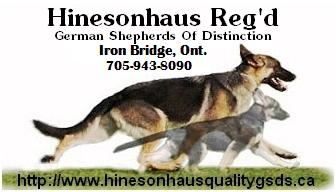 Hinesonhaus Reg'd German S