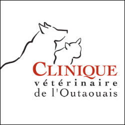 H�pital V�t�rinaire 