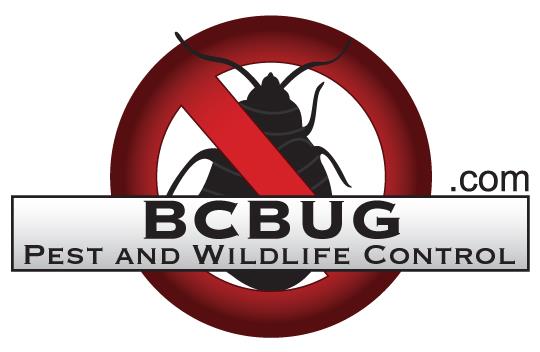 BC Bug