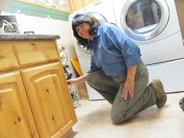 Termite control scottsdale