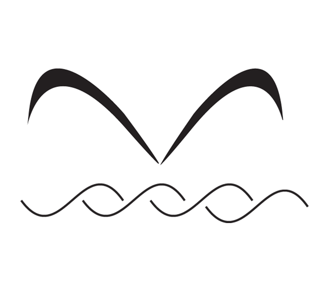 Pacific Spas Manufac