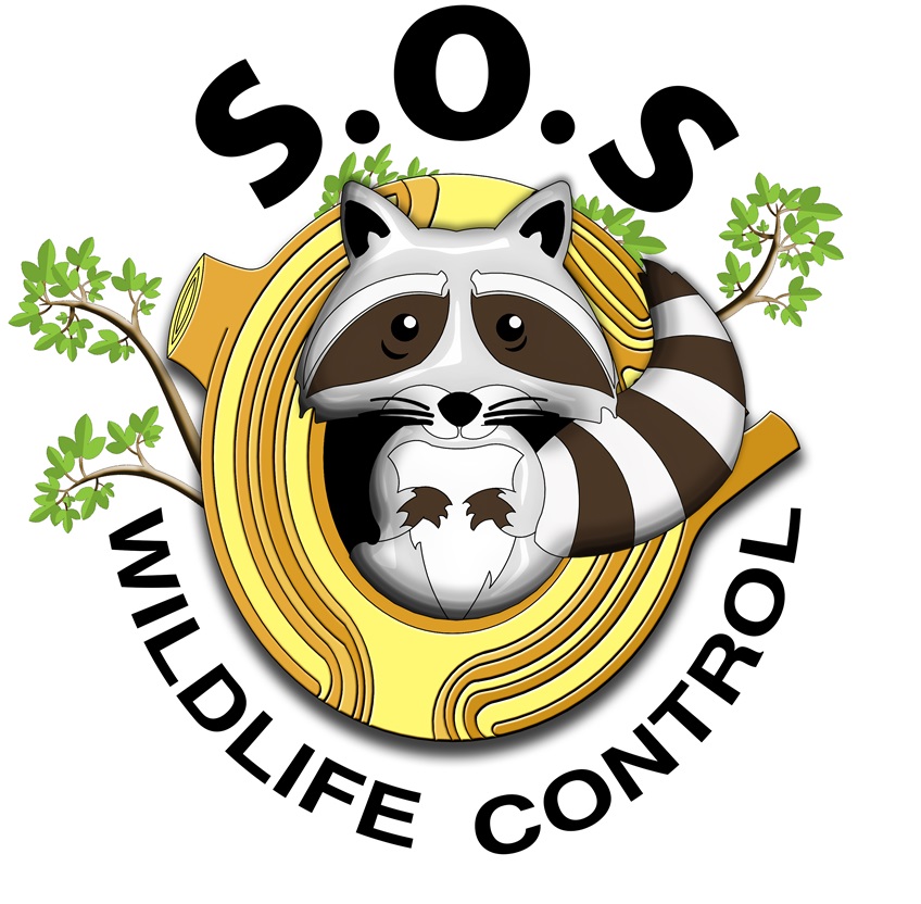 SOS Wildlife Control