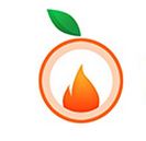 Burnt Orange Solutions