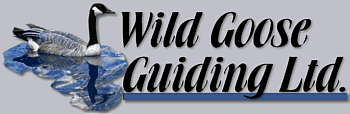 Wild Goose Guiding Ltd