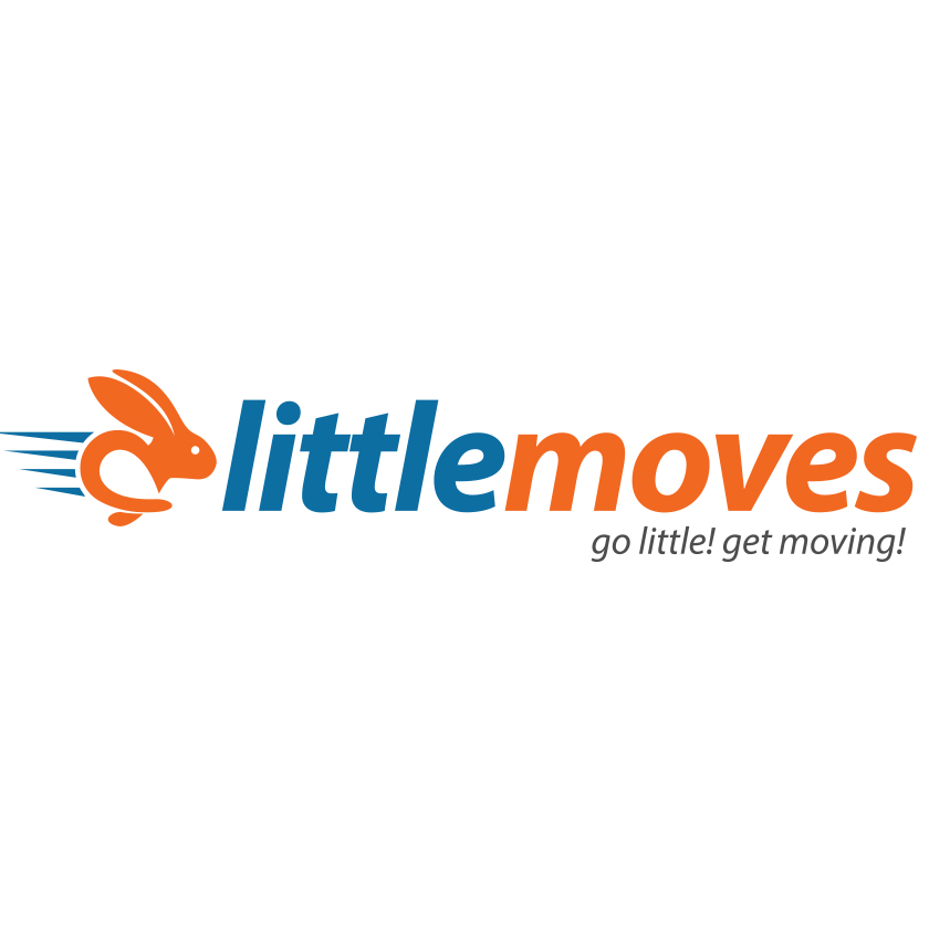 Little Moves