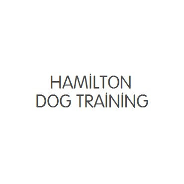 Hamilton Dog Training