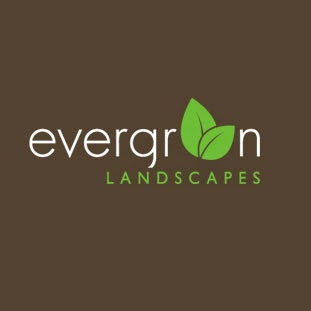 Evergreen Landscape