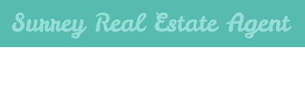 Surrey Realtor