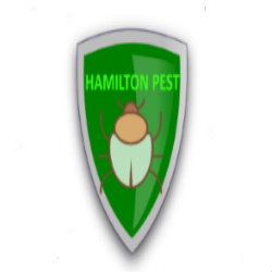 Hamilton Pest  Control