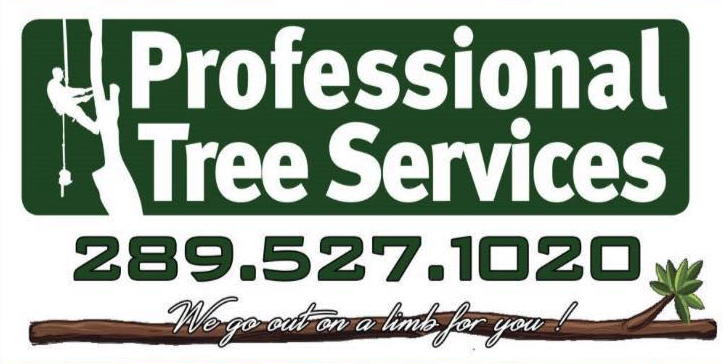 Professional Tree Services