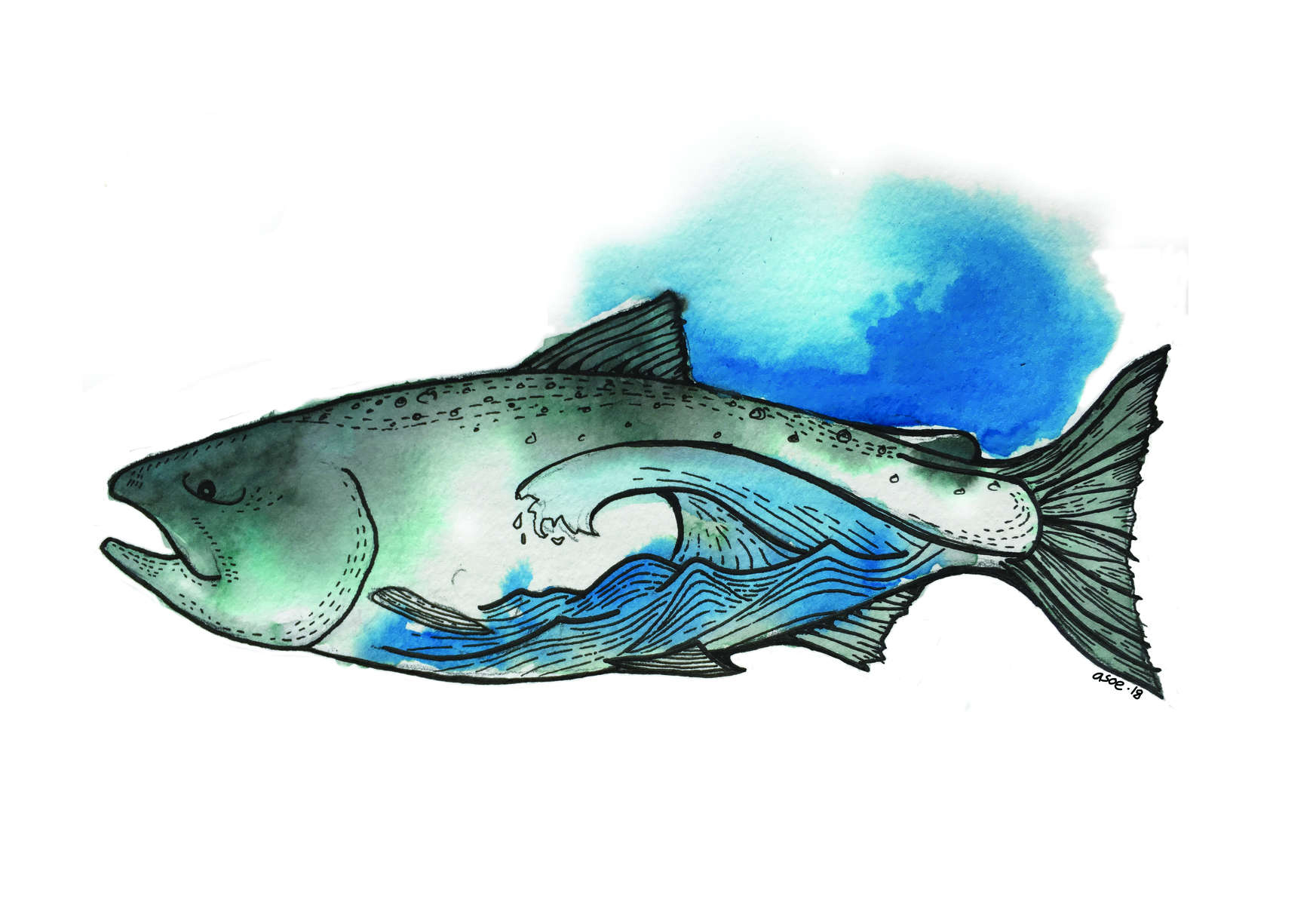 info@otbcharters.com