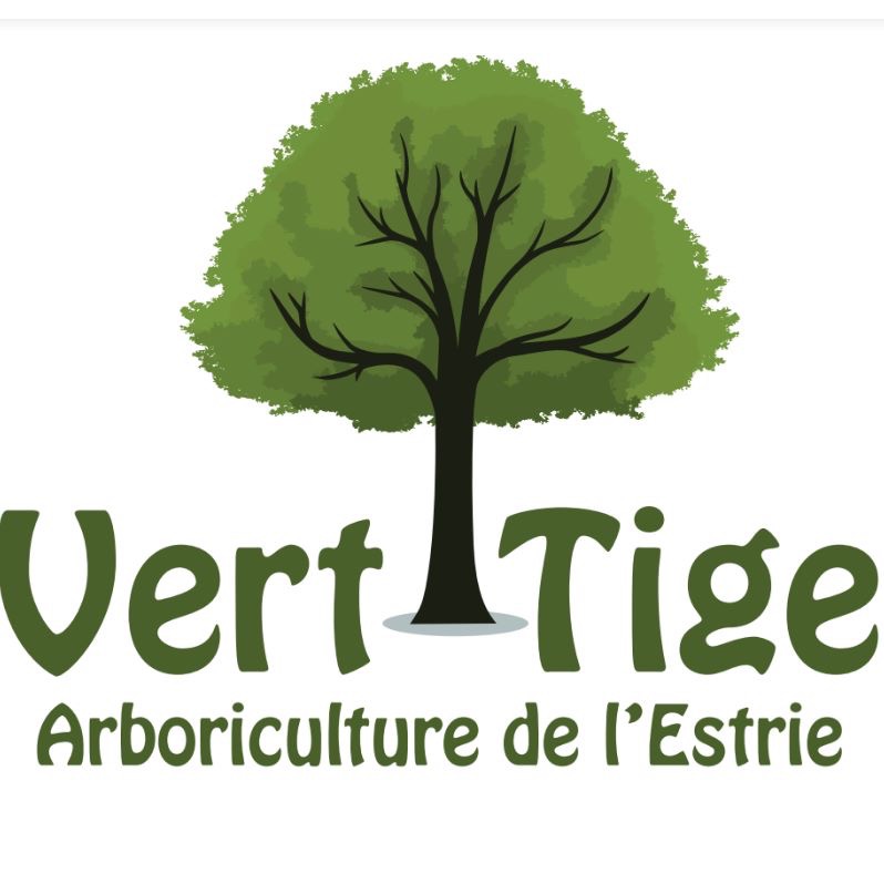Vert-Tige Arboriculture