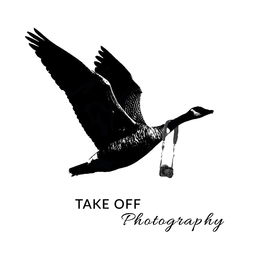 Take Off Photography