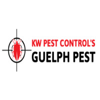 Guelph Pest