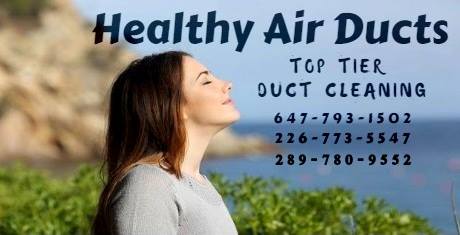 Healthy Air Ducts