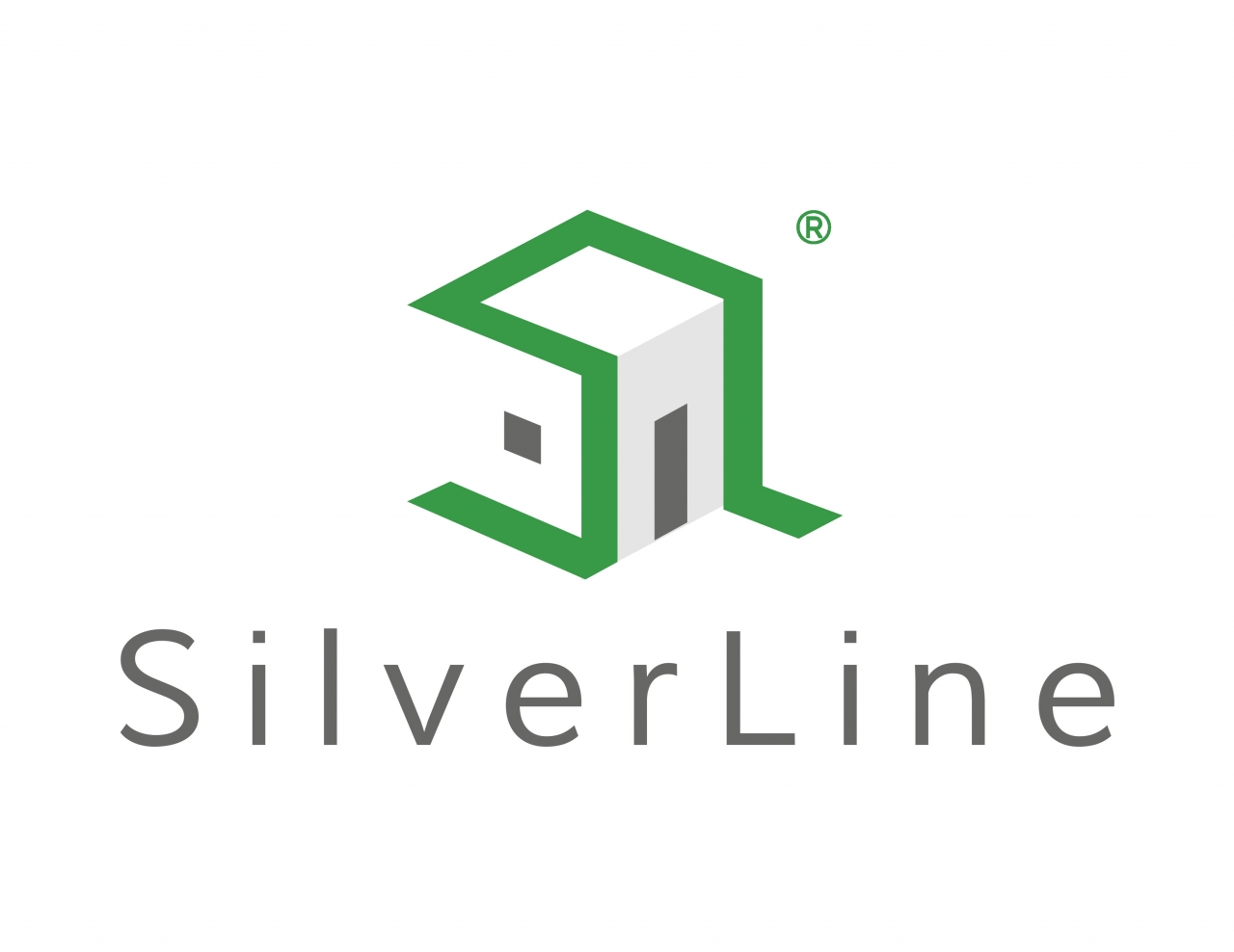 SilverLine Exterior Soluti