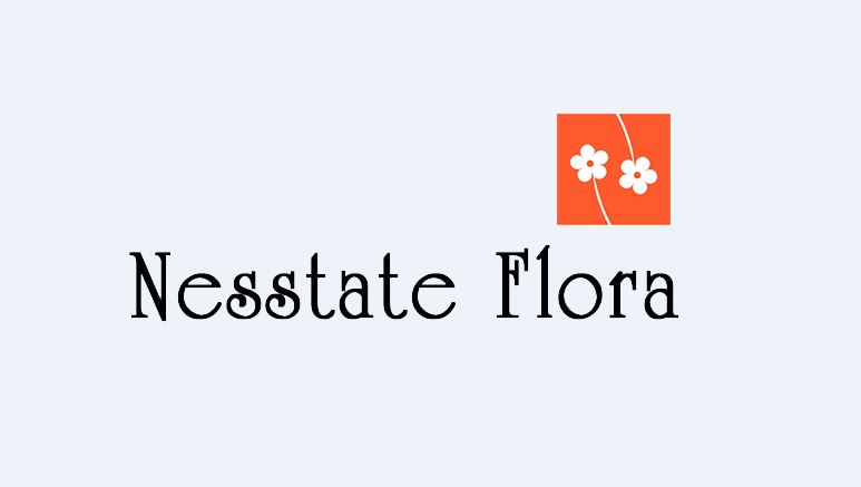 Roman School Worksho