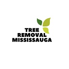 Tree Removal Mississauga