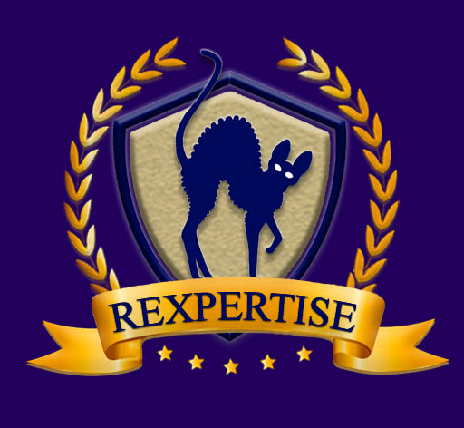 Rexpertise Cornish Rex cat