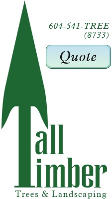 Tall Timber Tree Services 