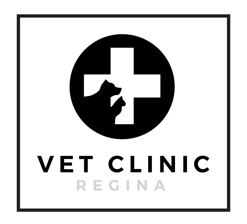 Regina Vet Clinic