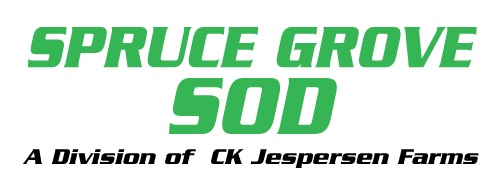 Spruce Grove Sod