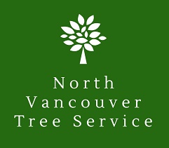 North Vancouver Tree Servi