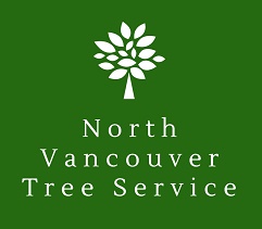 North Vancouver Tree Servi
