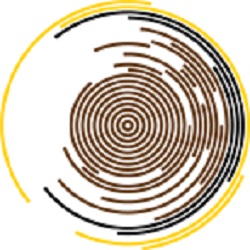 Timber Restoration Service