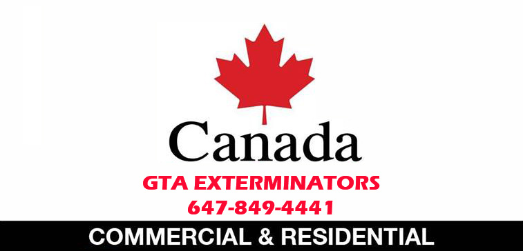 GTA EXTERMINATORS