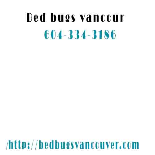 BedBugs Vancouver