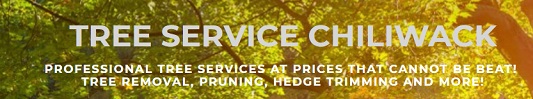 Tree Service Chilliwack In