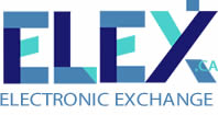Electronic Exchange Inc. 5