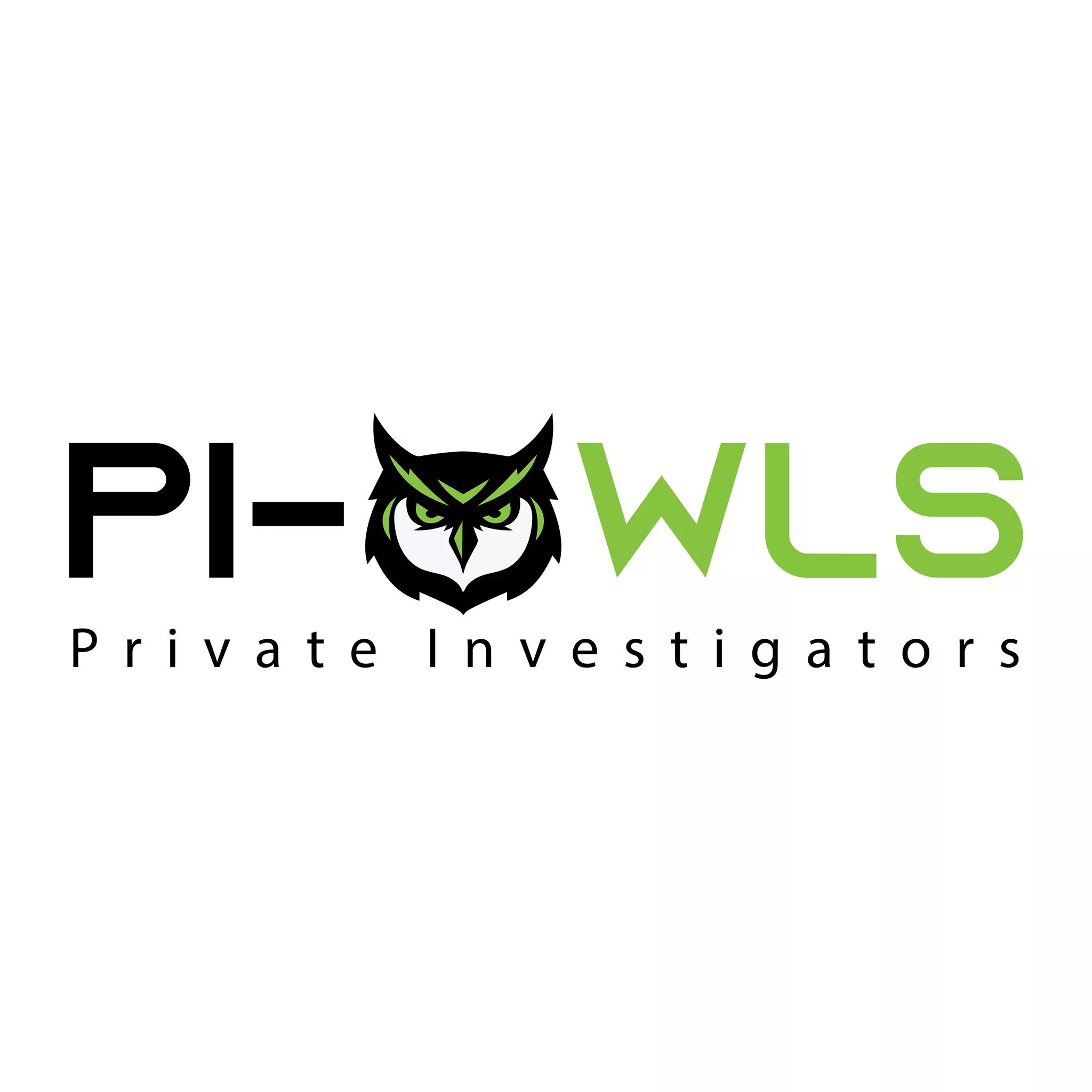 PRIVATE INVESTIGATORS