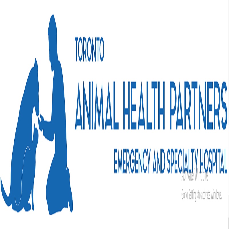 Toronto Animal Health Part