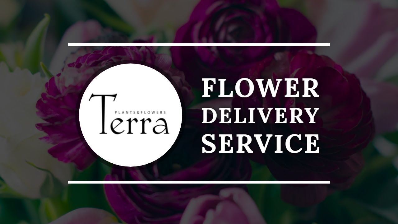 Terra Plants and Flowers