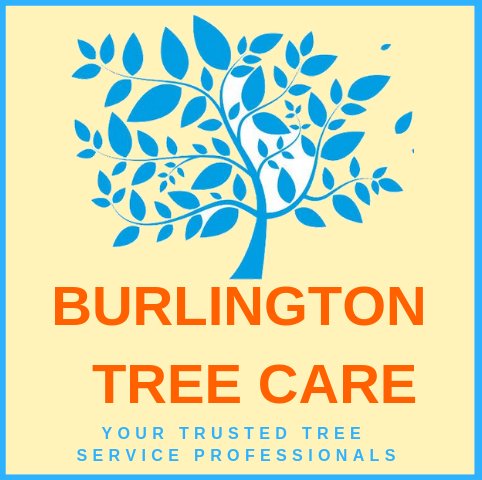 Burlington Tree Care