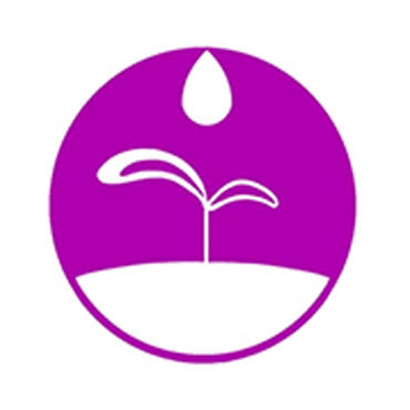 Laser Essential and Skin C